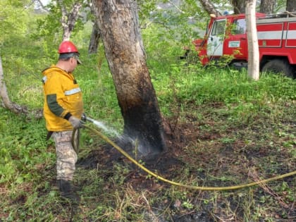 Особый противопожарный режим введён в Быстринском районе Камчатки