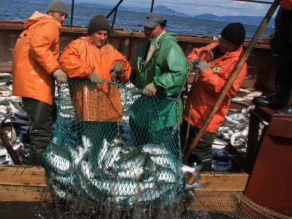 Число камчатцев, занятых в рыбохозяйственной отрасли, должно быть увеличено