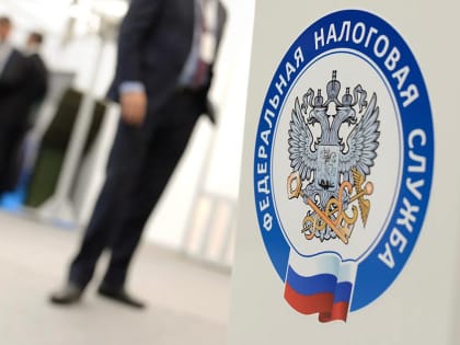 Стартовала декларационная кампания 2024 года