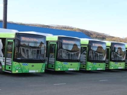 В Камчатском крае введены бесплатные проездные для детей из многодетных семей