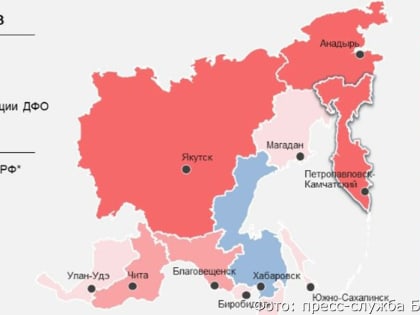 На Камчатке в июле подорожали свинина, фрукты и бензин, подешевели масла и зелёный чай