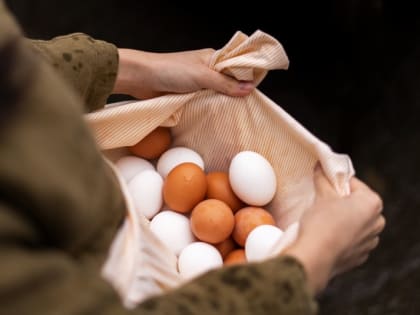 В правительстве придержали рост цен на яйца