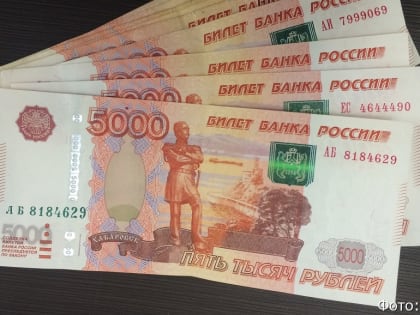 Камчатскому предпринимателю придётся вернуть грант – почти четверть миллиона рублей