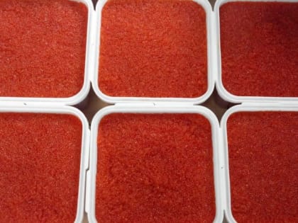 Два скупщика икры пойдут под суд на Камчатке