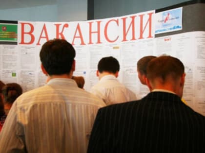 На 19% выросла численность безработных на Камчатке