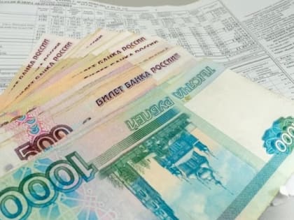 Запасайтесь дровами: изменения в ЖКХ произойдут не в этом году