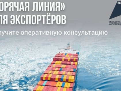 Камчатские компании могут воспользоваться «горячими линиями» по вопросам логистики