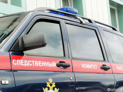 Следователи завели дело по факту обнаружения обезглавленного тела на Камчатке