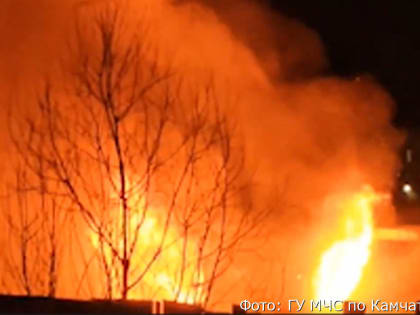 В Петропавловске пожарные спасли семь собак из горевшего дома (видео)