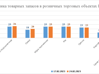 В период  17.02.2023 — 24.02.2023 запасы товаров первой необходимости в розничных торговых объектах региона имеются в достаточном количестве