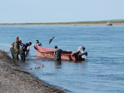 Глава Камчатки принял участие в совещании по вопросам перезакрепления рыболовных участков