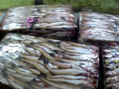 Компанию оштрафовали на 20 млн за незаконный вылов минтая