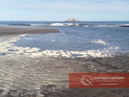 На Камчатке специалисты проверят сообщения о вызывающей «жжение» морской пене