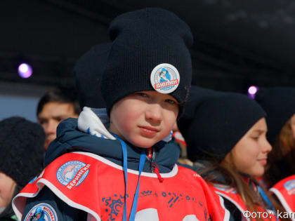 На Камчатке в краевой детской гонке на собачьих упряжках будут соревноваться 56 спортсменов