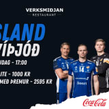 ÍSLAND - SVÍÞJÓÐ
