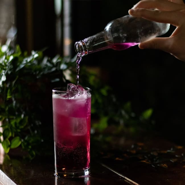 Jungle - Cocktail Bar