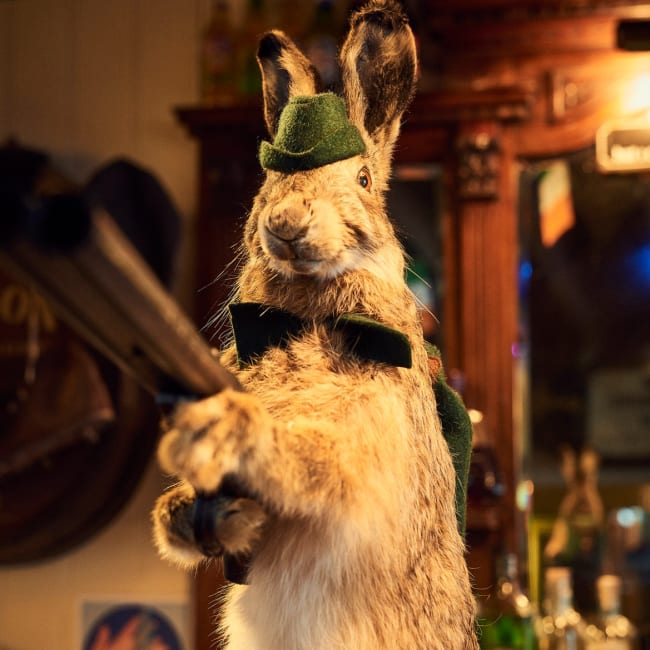 Drunk Rabbit