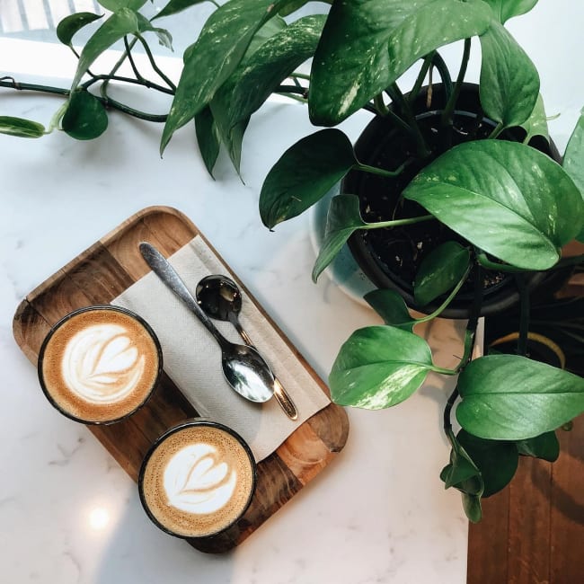 Kaffi Ó-le