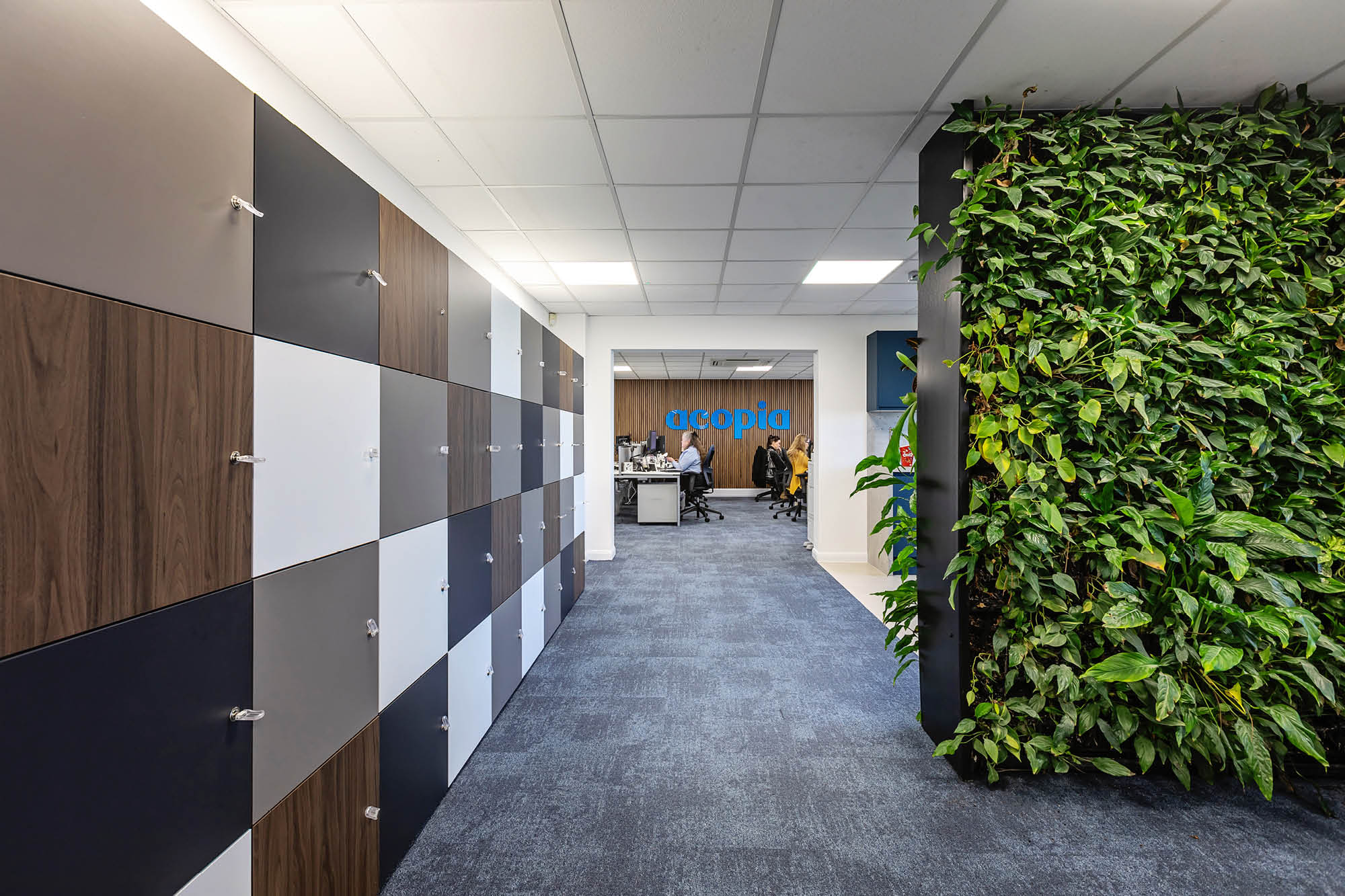 A modern office hallway with a wall of lockers on the left and a vertical garden on the right.