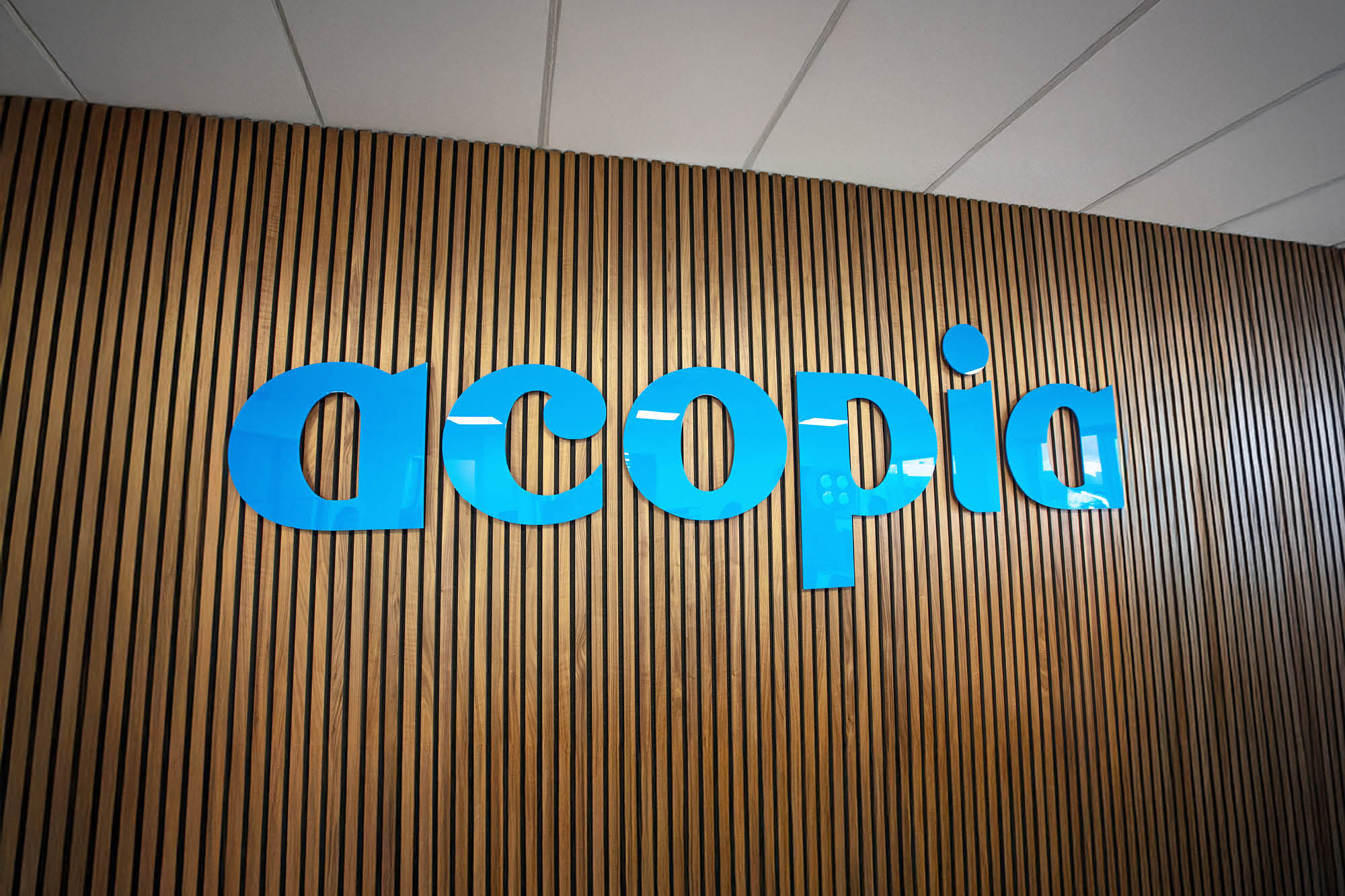 Blue letters spelling acopia are mounted on a wall with vertical wooden slats. The text stands out against the light brown background.