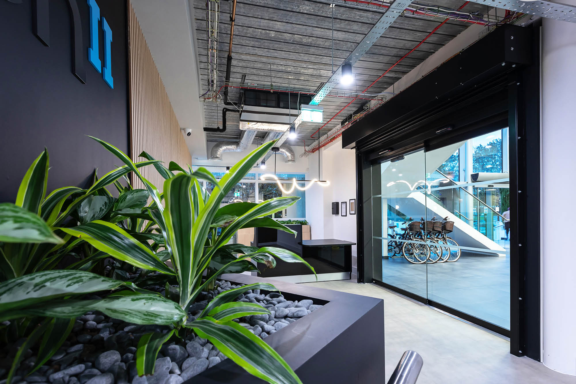 Modern office lobby featuring potted green plants on the left and a glass entrance on the right.
