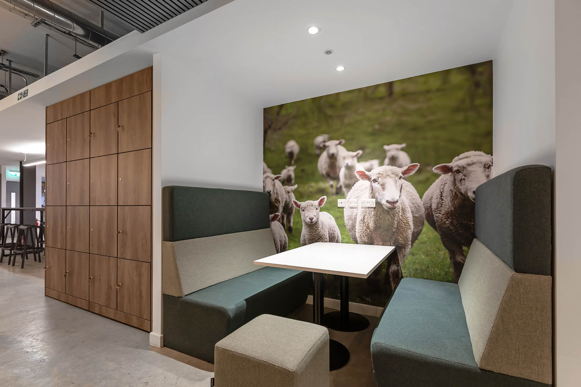 Office break room with green and gray booth seating around a white table. A large mural of sheep in a field is on the wall.