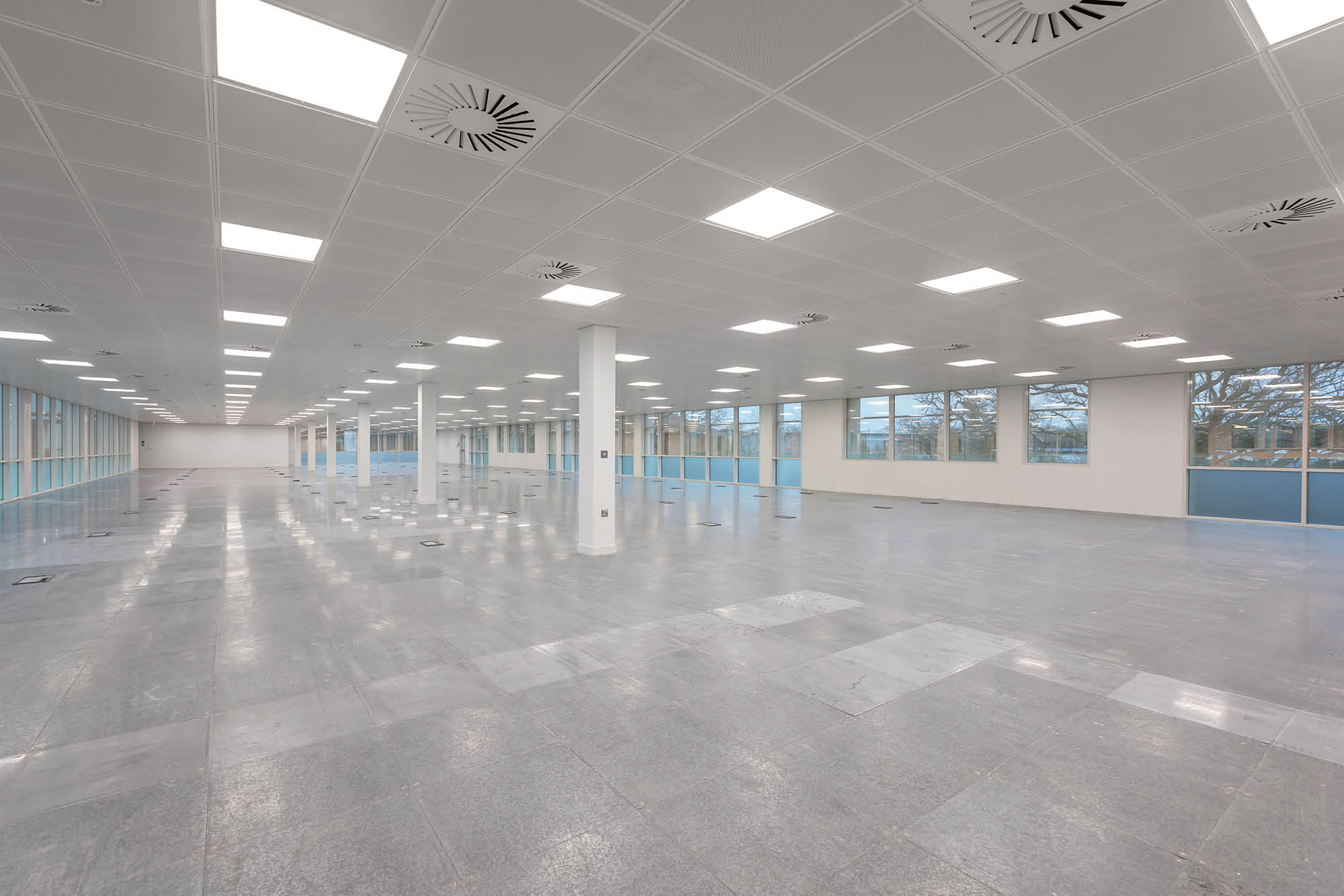 Empty office space with gray tiled floor and white walls. Ceiling is made of white panels.