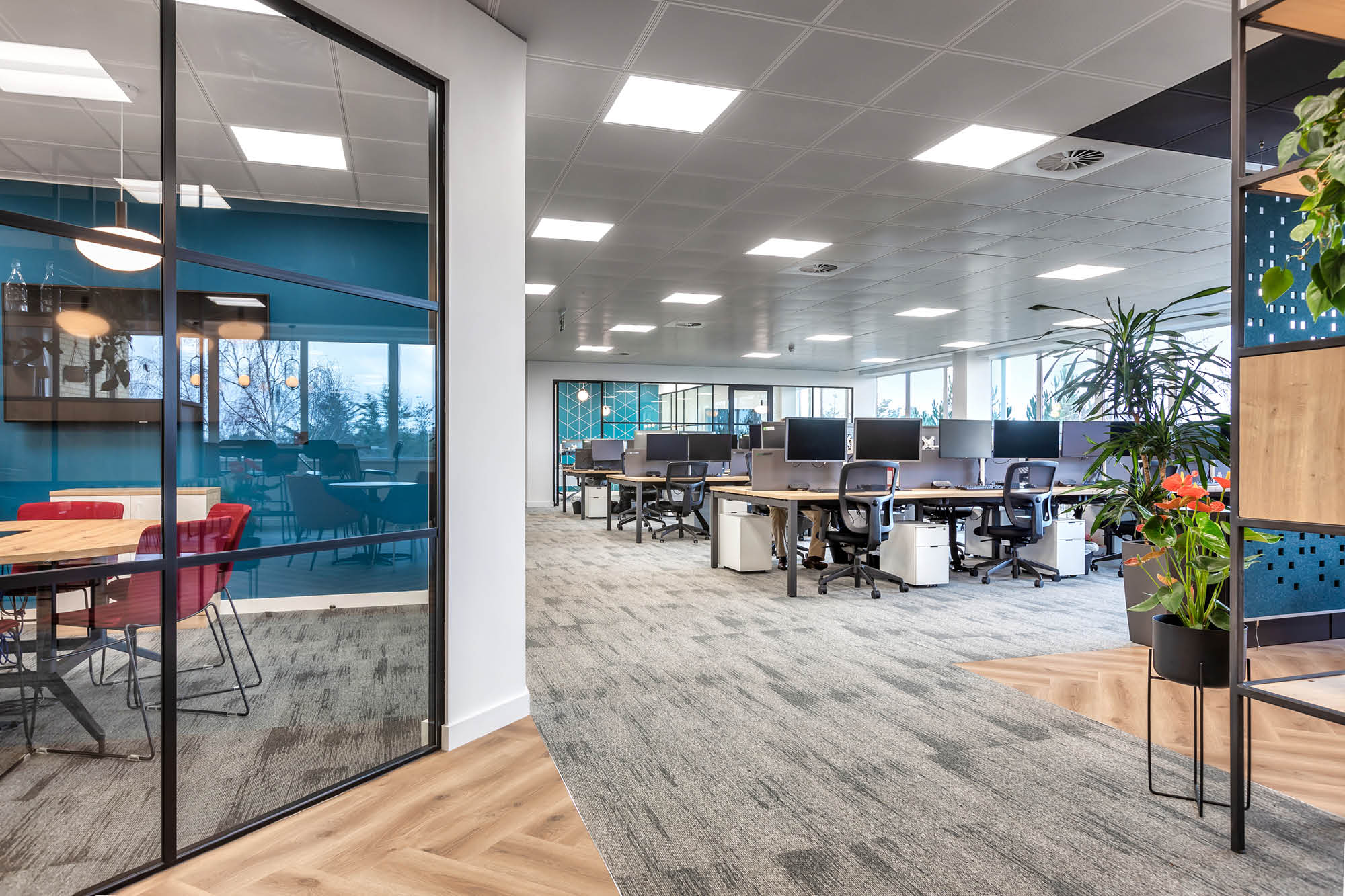 Modern office space with open-plan workstations, blue accent wall, and glass-walled meeting room.
