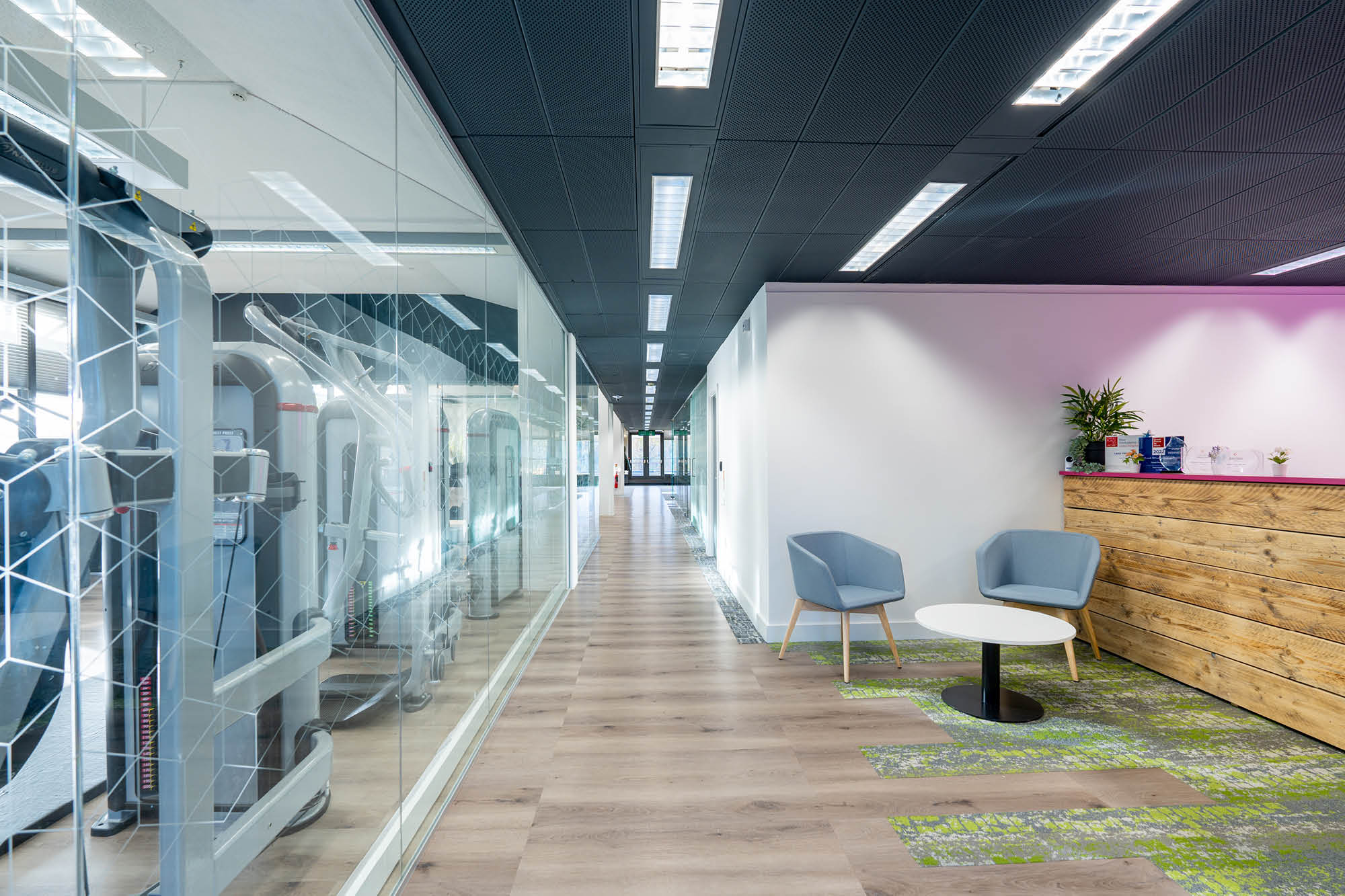 Modern office corridor with wooden flooring, glass walls showcasing gym equipment on the left.