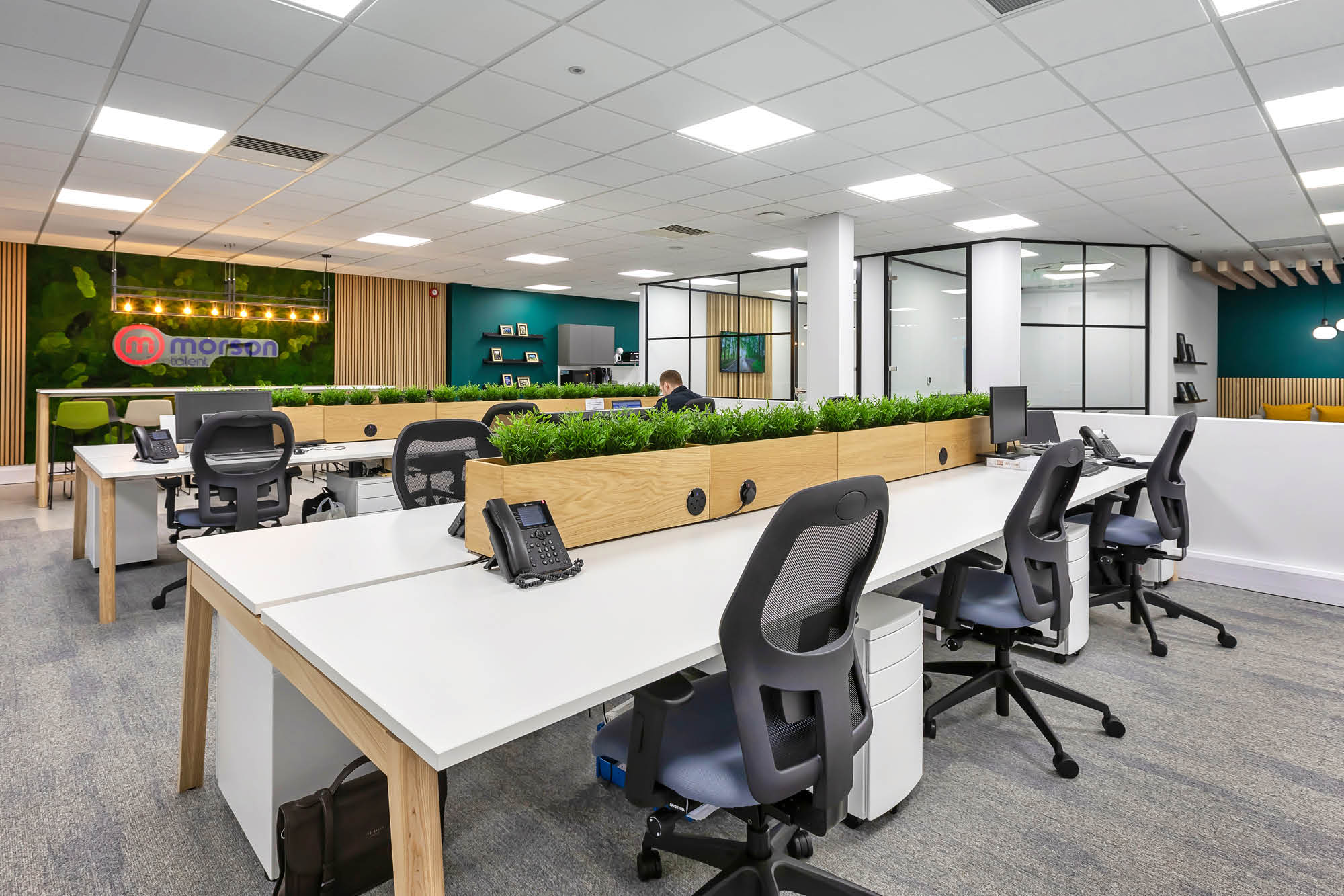 A modern office space with rows of desks featuring green potted plants as dividers. Ergonomic chairs are placed at each desk.