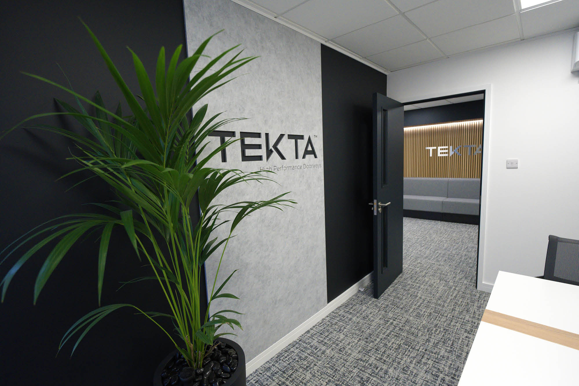 Office hallway with gray carpet and black-and-gray walls. A large potted plant on the left. The word TEKTA is prominently displayed on the wall.