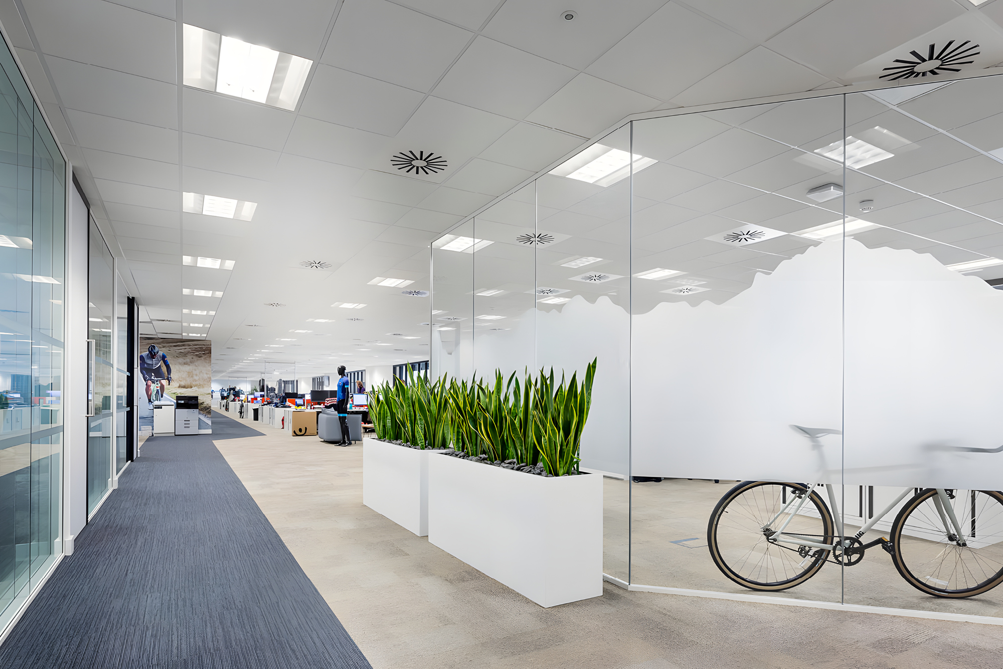 Modern office space with glass walls, planter boxes with tall green plants, and a bicycle parked indoors.