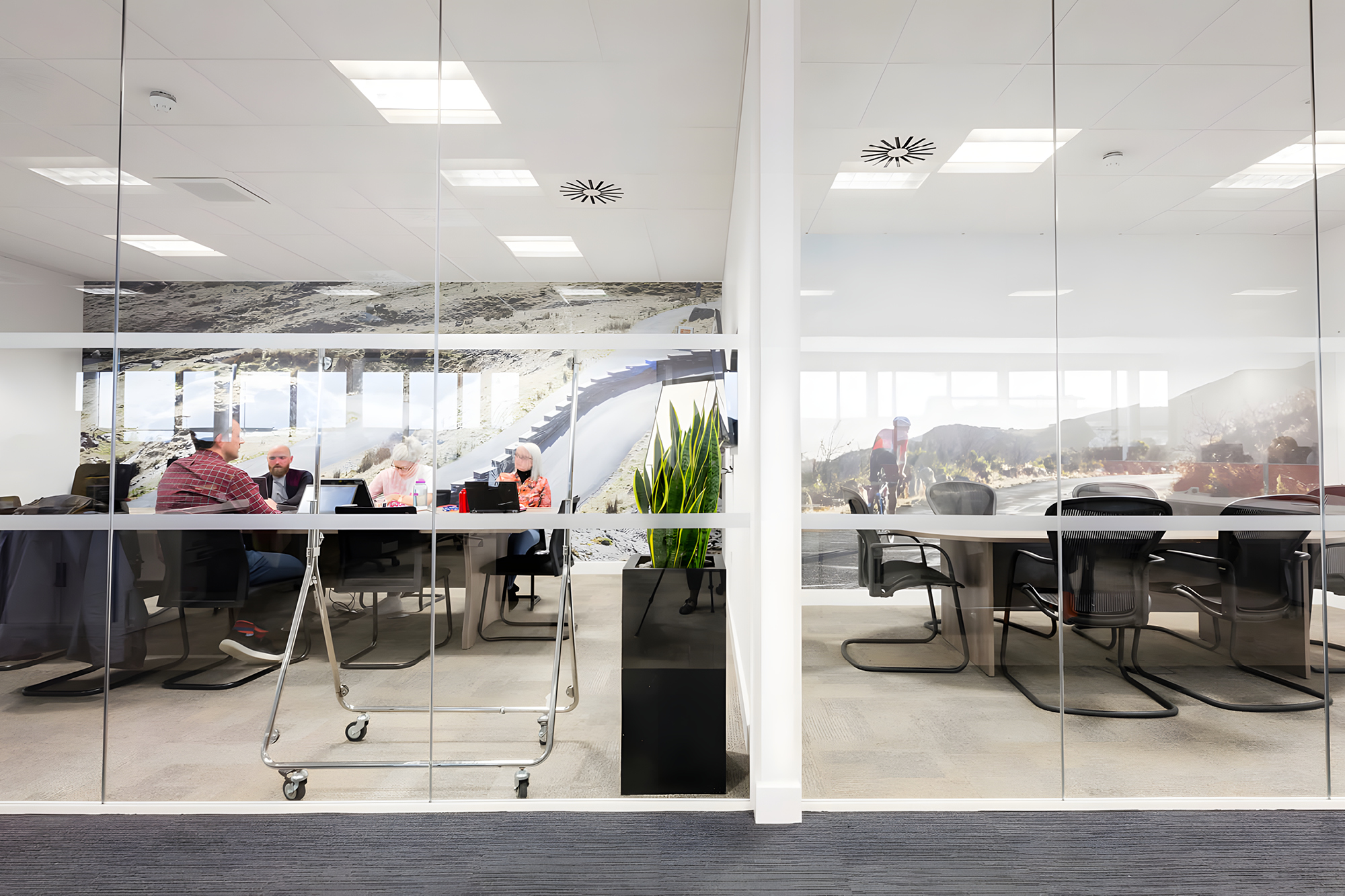 People sitting at a table in a glass-walled office room, with chairs around and a decorative plant in the foreground.