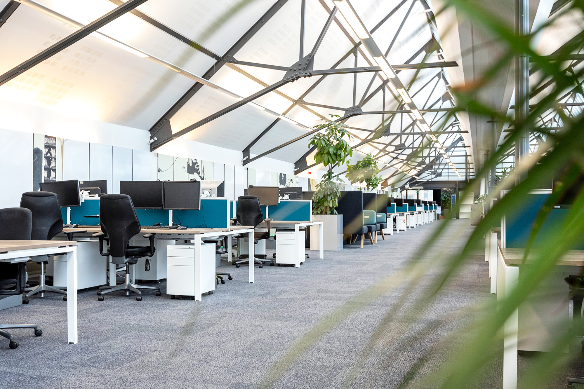 Modern office space with a booth featuring purple cushioned seating and a white table. The area is surrounded by large windows and plants.