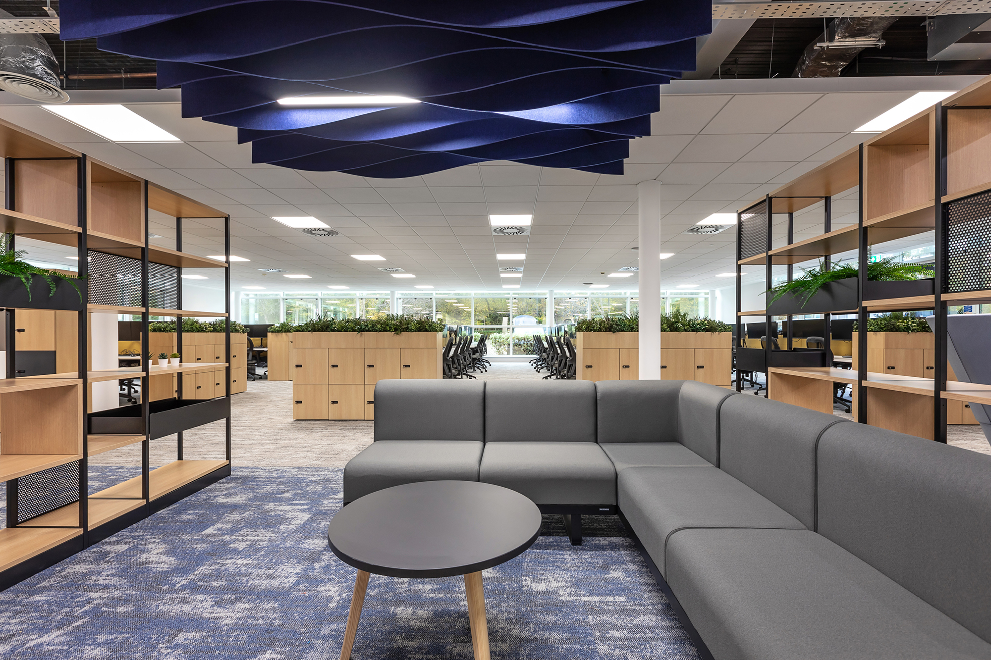 Circular light fixtures in office room with 4 black chairs and tanned carpet