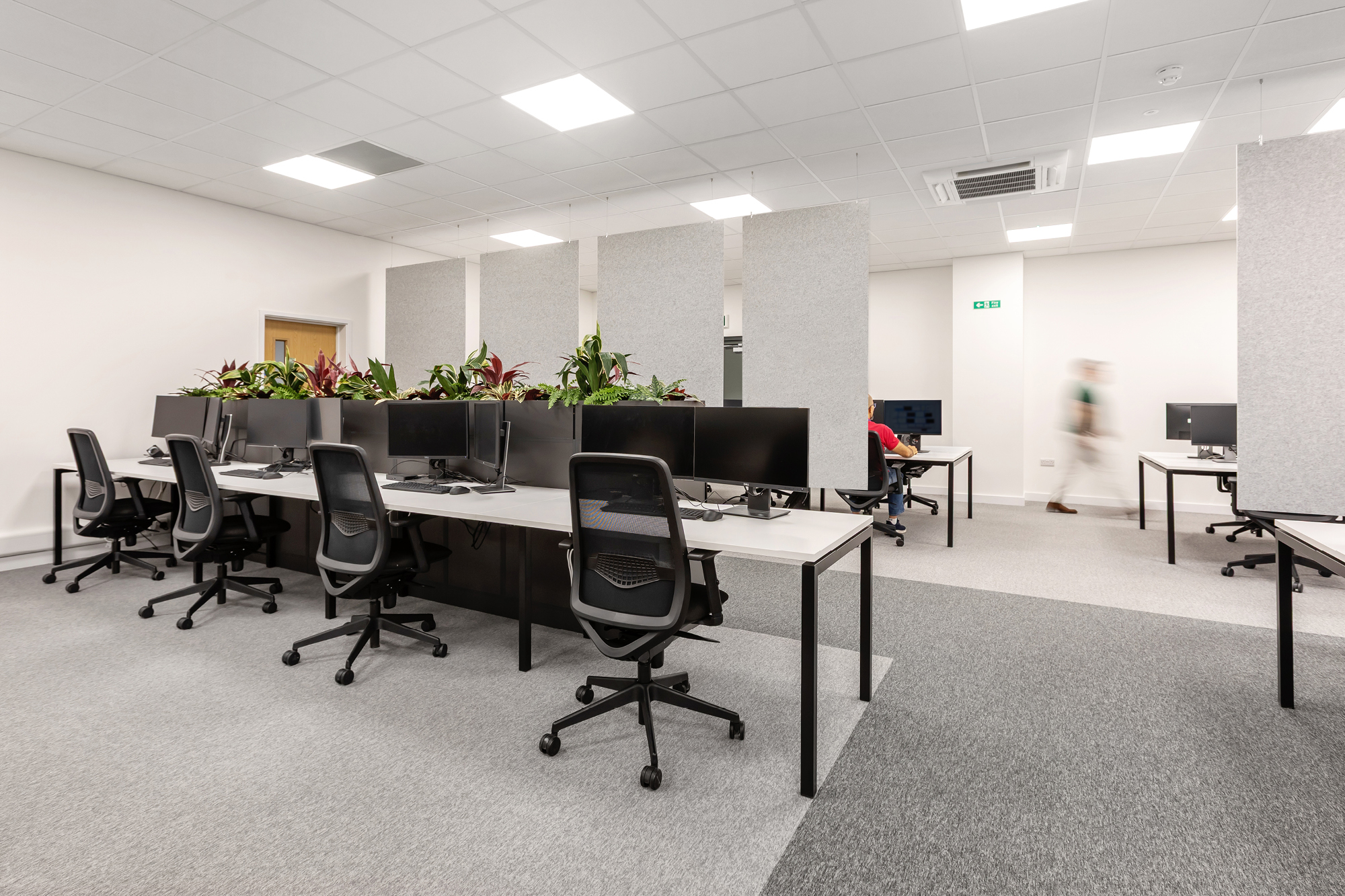office space with planting and desk chairs