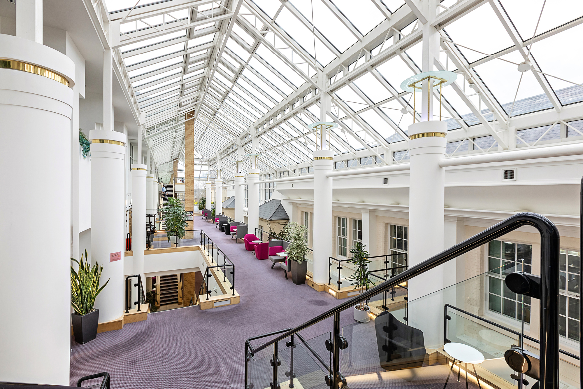 stairway leading to purple carpet and glass ceiling 