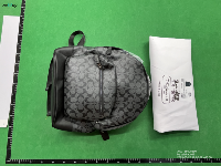 Coach Mochila 2 Estilos