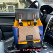 Coach Bag - 6 Estilos