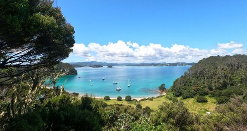 Kerikeri & Bay of Islands