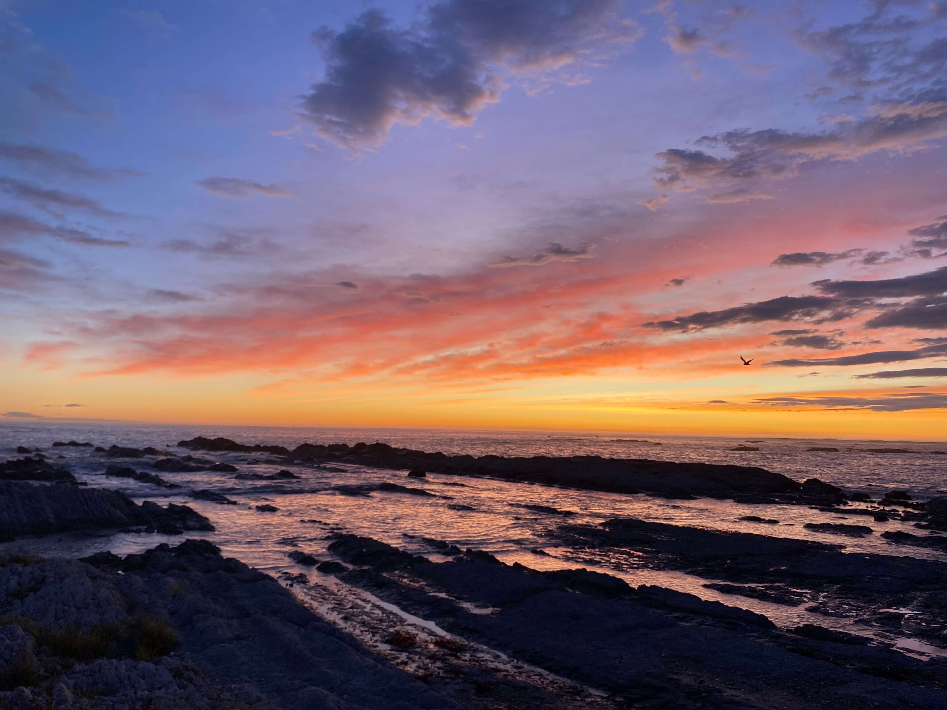 Kaikoura, entre mer et montagnes
