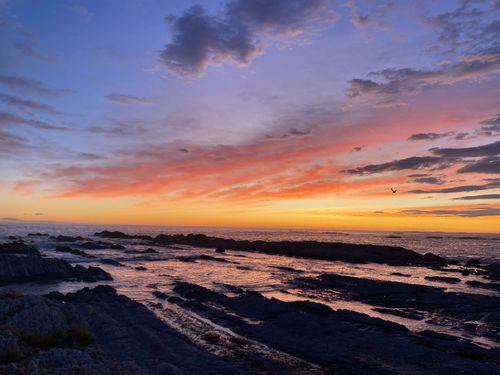 Kaikoura, entre mer et montagnes