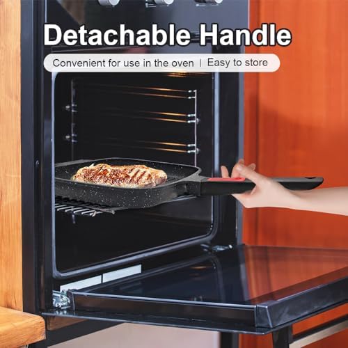 Vue 4 de Ranx Ingst Poele Grill