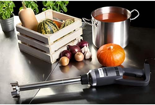 Vue 5 de Royal Catering Mixeur Plongeant
