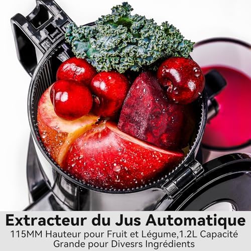 Vue 3 de Sans Preparation Extracteur De
