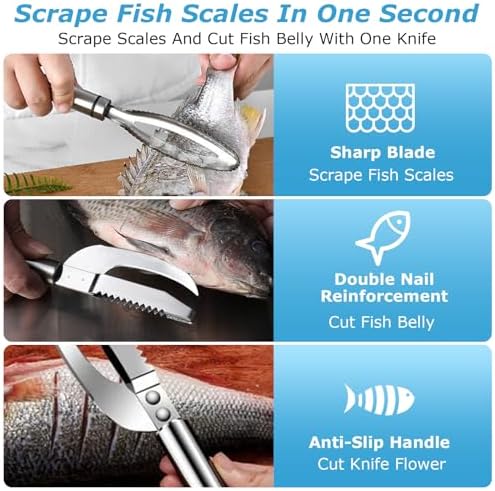 Vue 3 de Ecailleur Poisson Professionnel