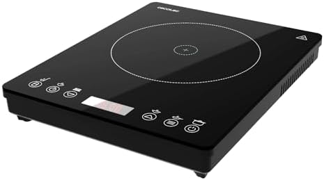 Vue 3 de Cecotec Plaque Induction