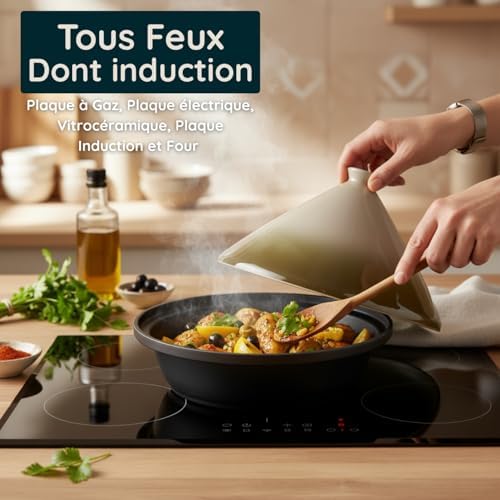 Vue 2 de Pzl Concept Tajine Induction