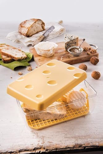Vue 5 de Snips Boite Fromage