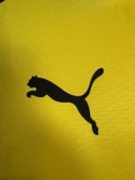Borussia Dortmund 2017/18 Match Issued Shirt — Christian Pulisic, Size M — wash label